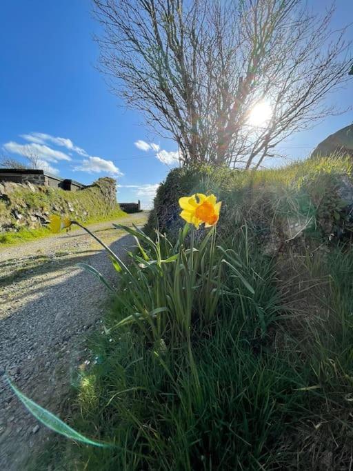 The Hut@Trefechan Wen - Coastal Coziness! Goodwick Bagian luar foto